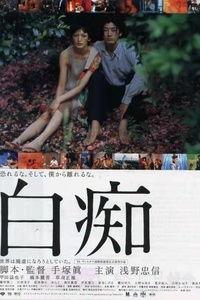 迷离夜 在线观看,沉浸式悬疑体验，揭秘在线观看的惊悚世界